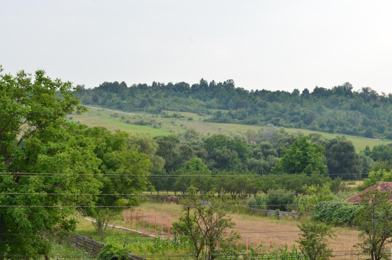 Pensiunea Koruna Poenari Exterior foto